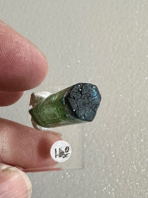 Green Tourmaline