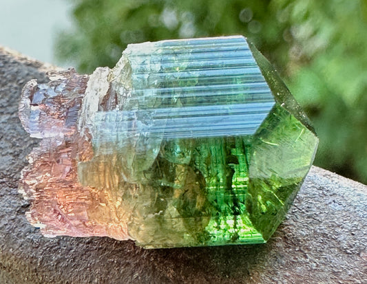 Tourmaline Scepter