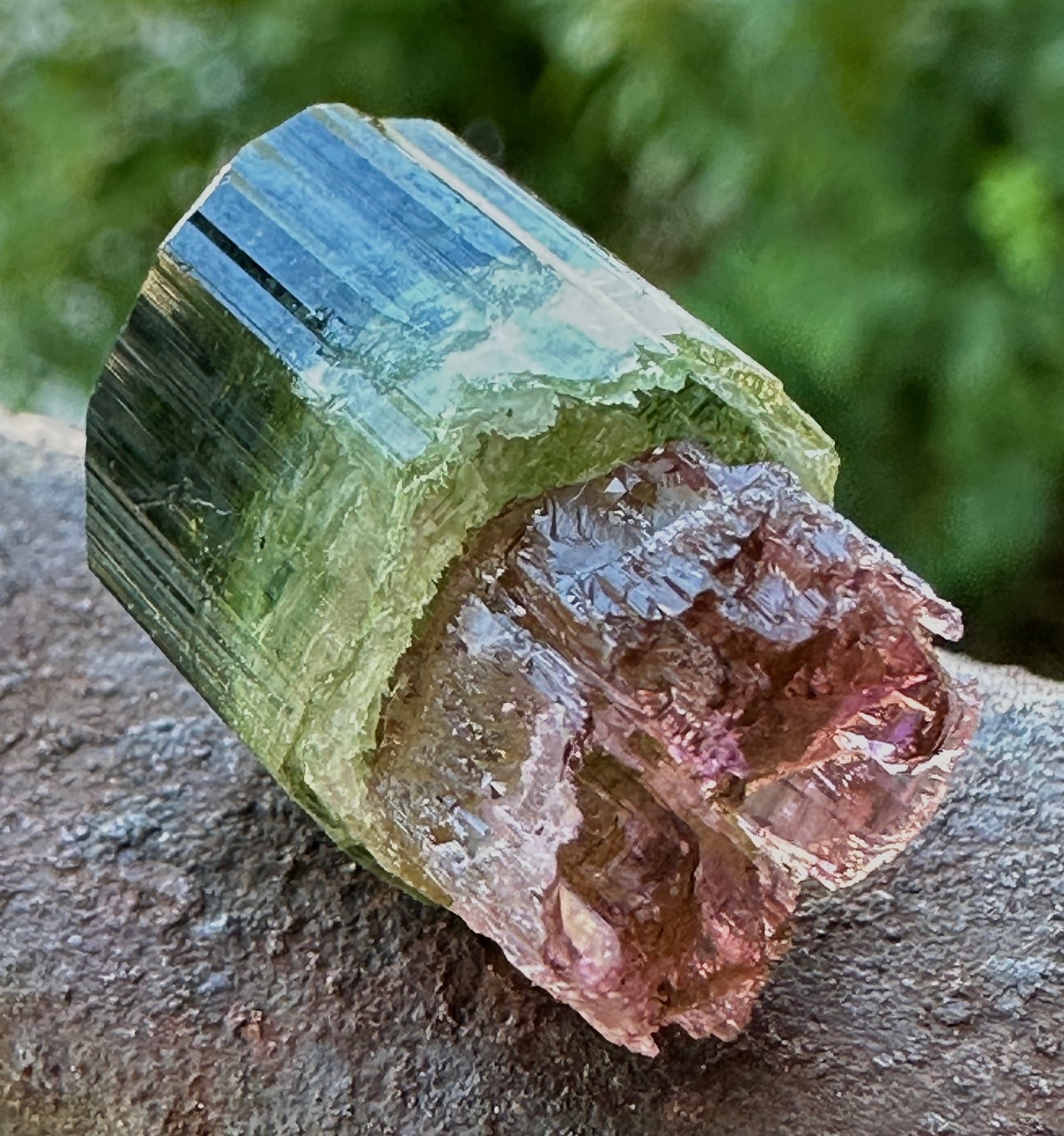 Tourmaline Scepter