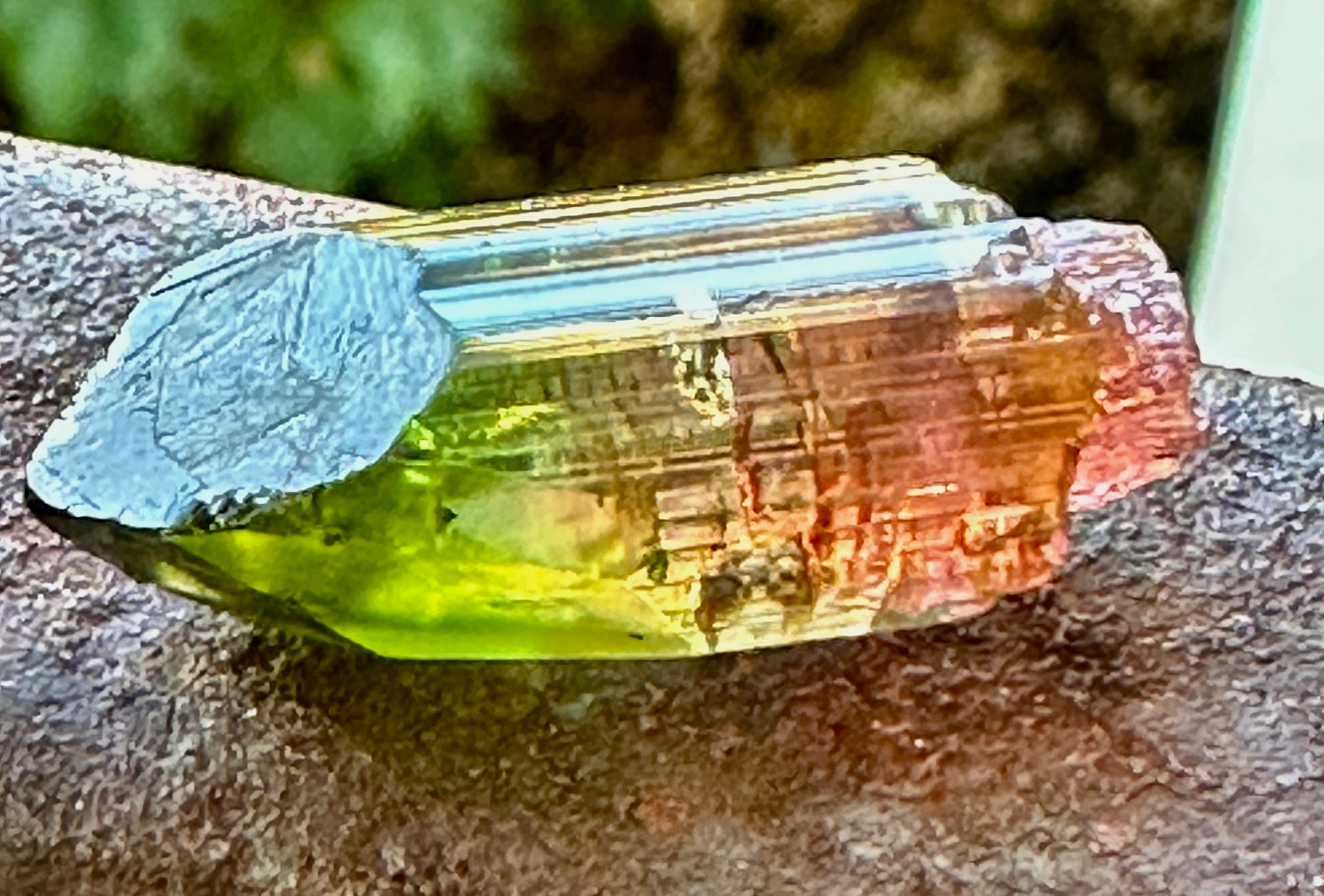 Tourmaline Scepter