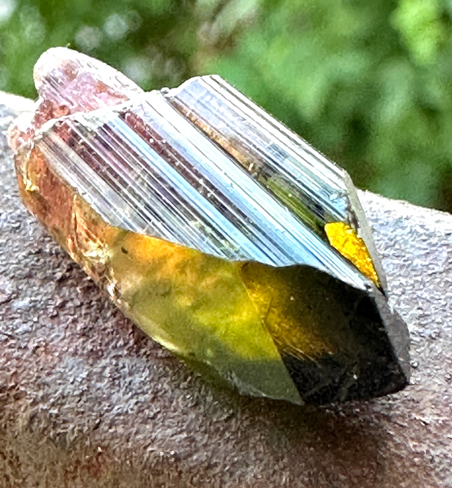 Tourmaline Scepter