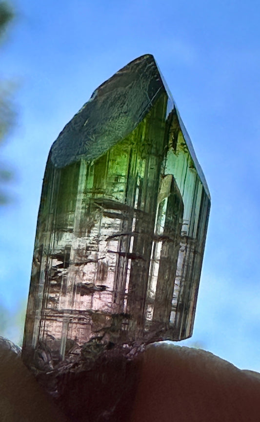 Tourmaline Scepter