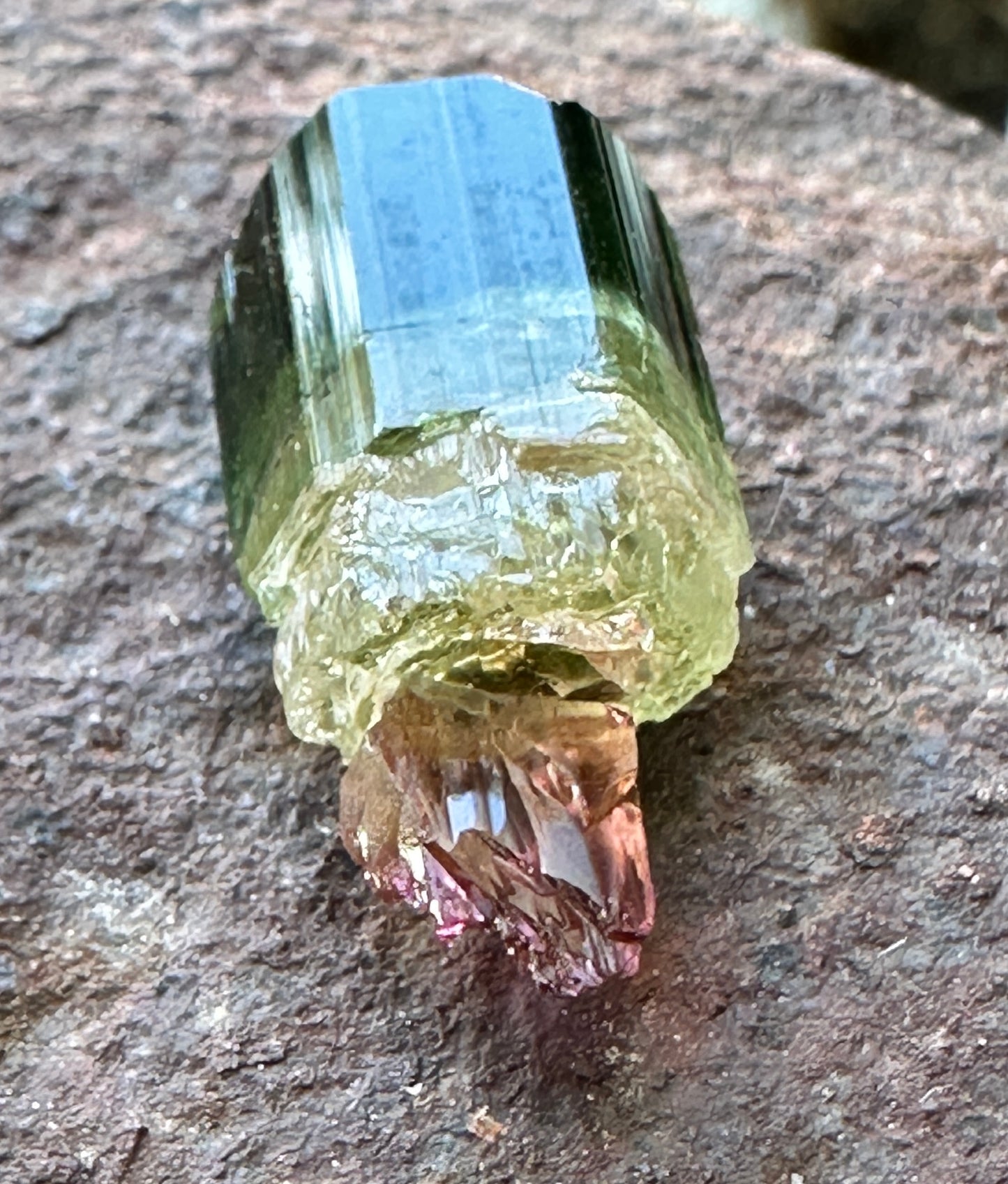 Tourmaline Scepter