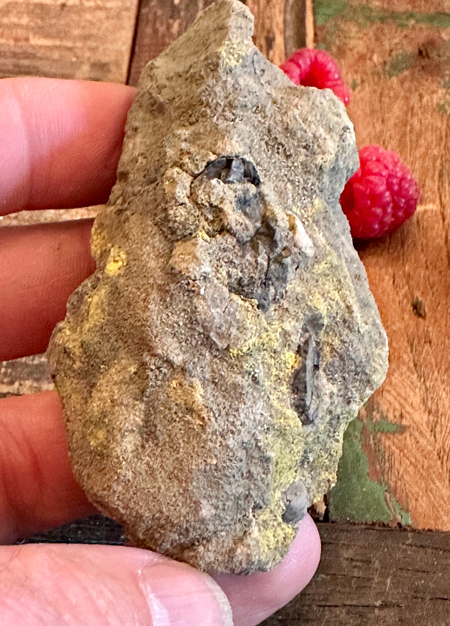 Metahewetite & Carnotite