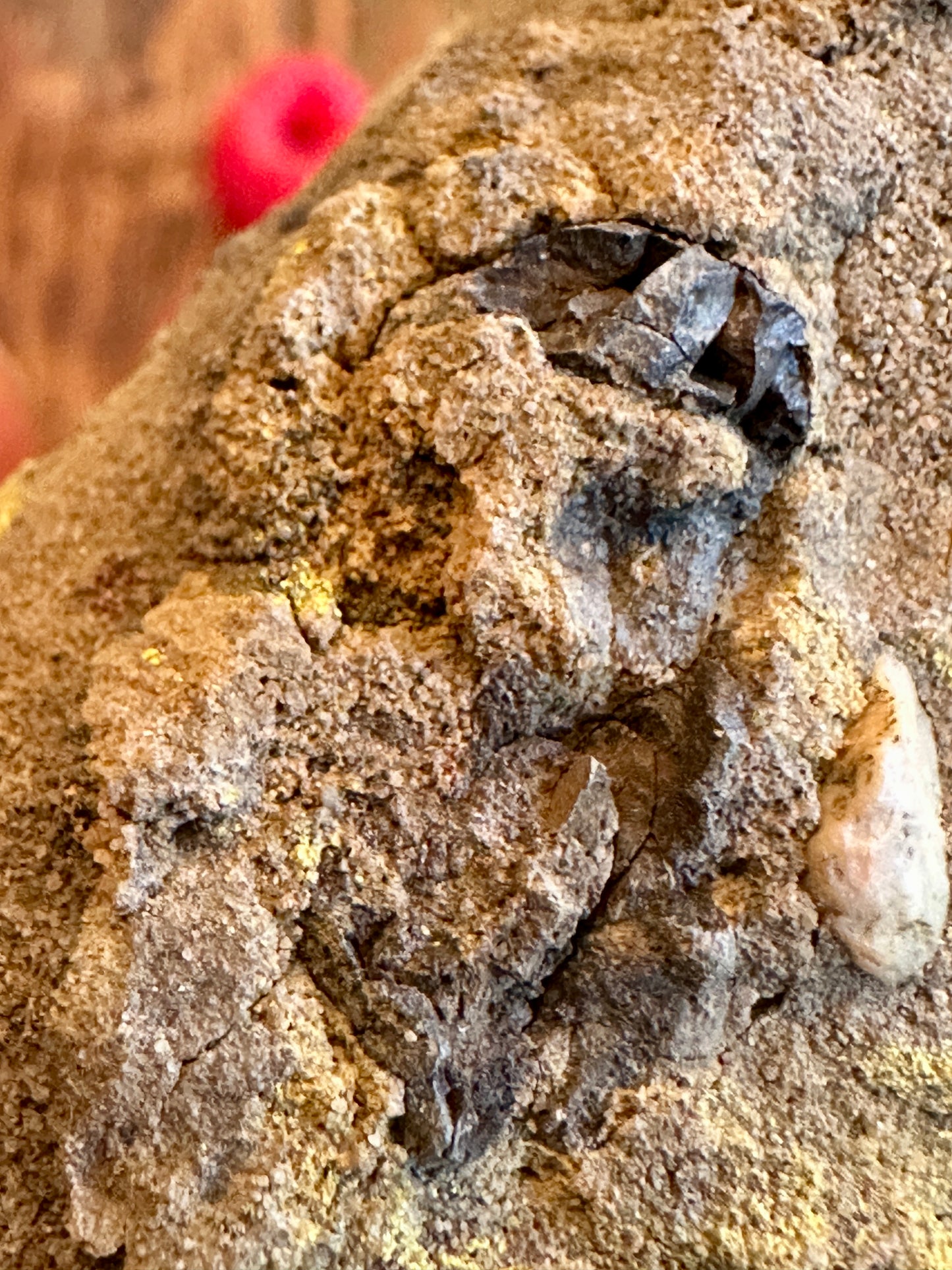 Metahewetite & Carnotite