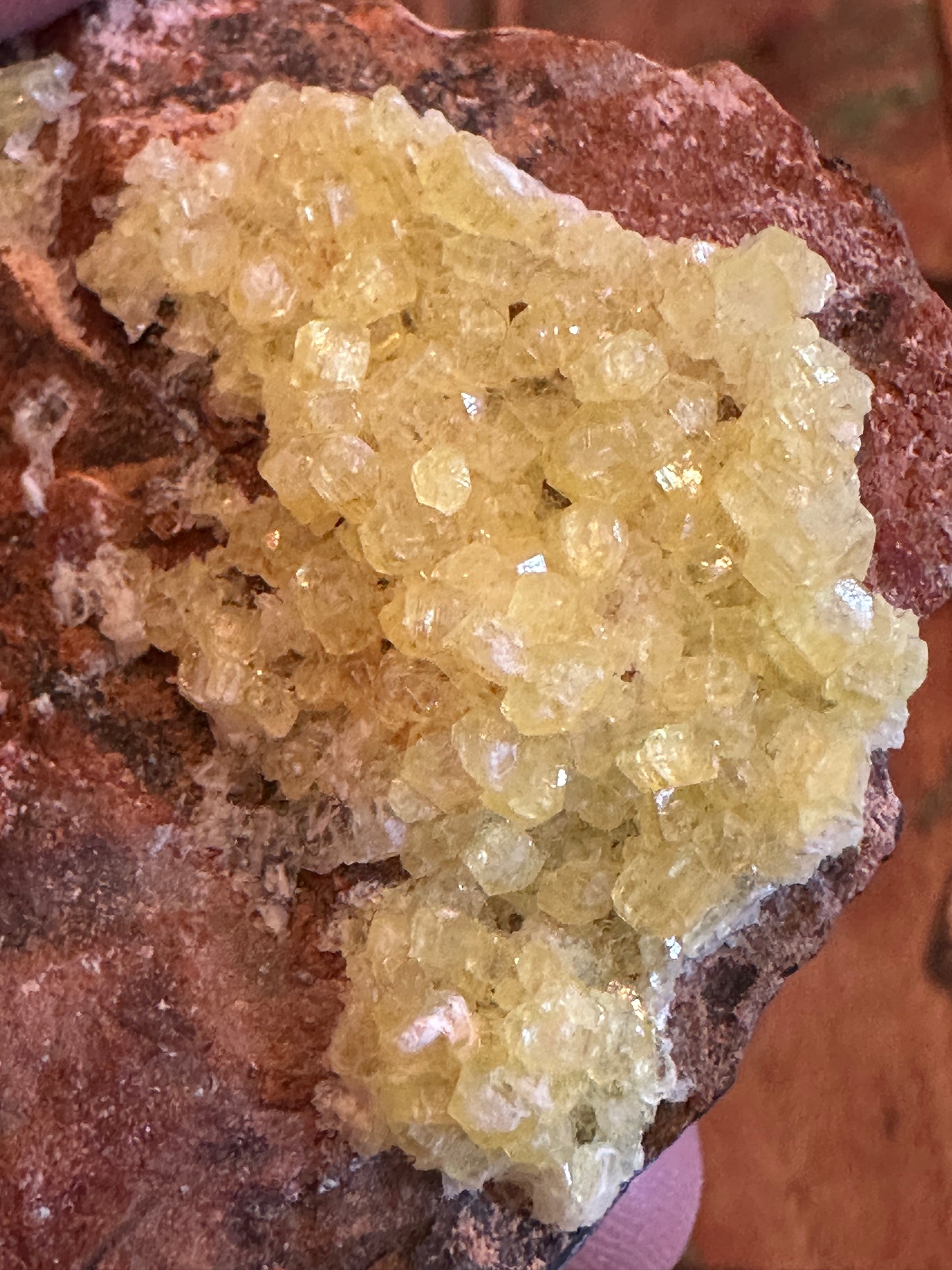 Ettringite Crystals