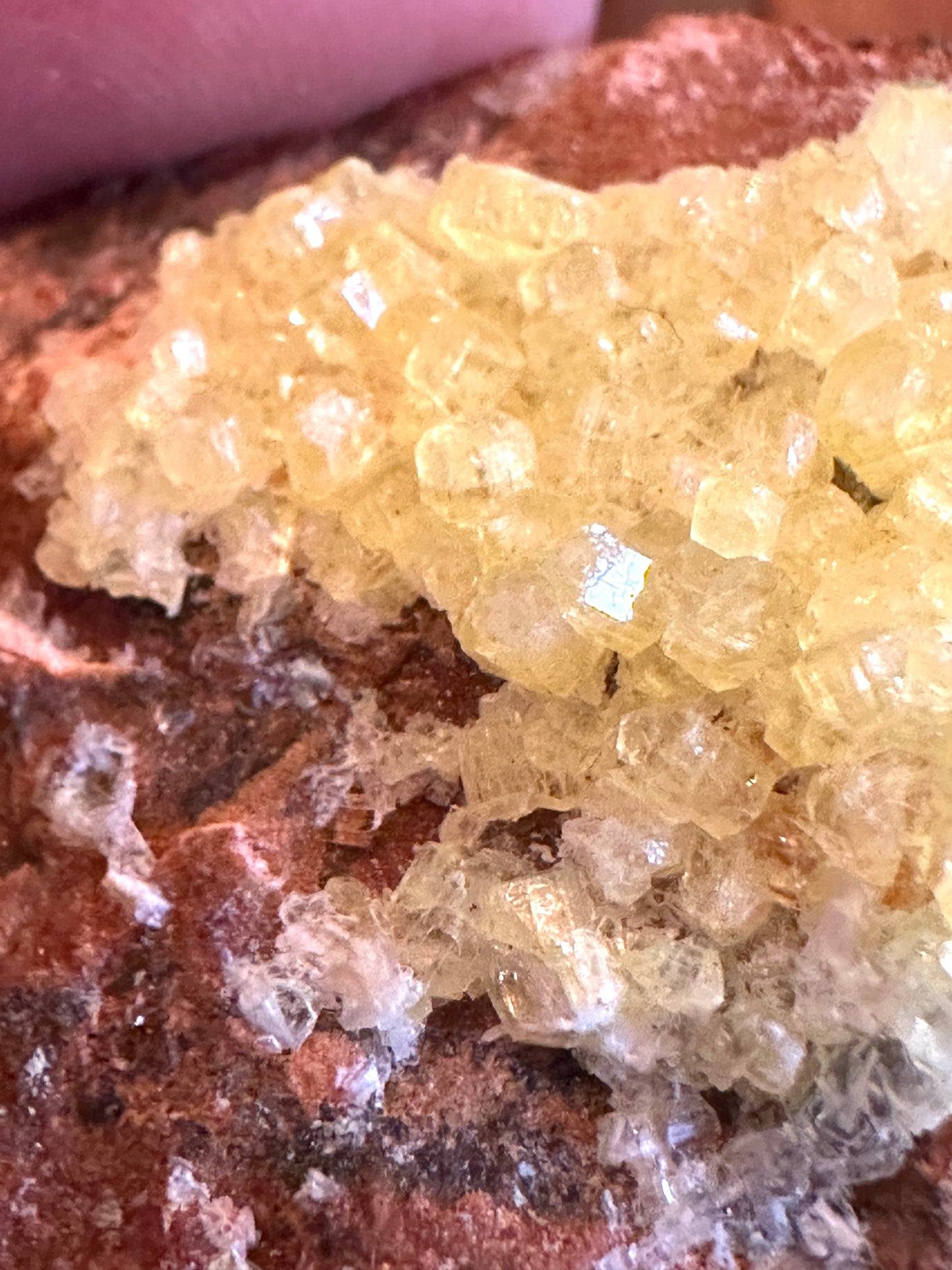 Ettringite Crystals
