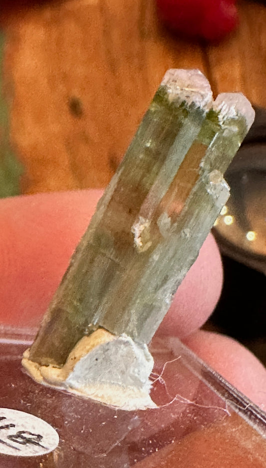 Pink Cap Tourmaline crystal