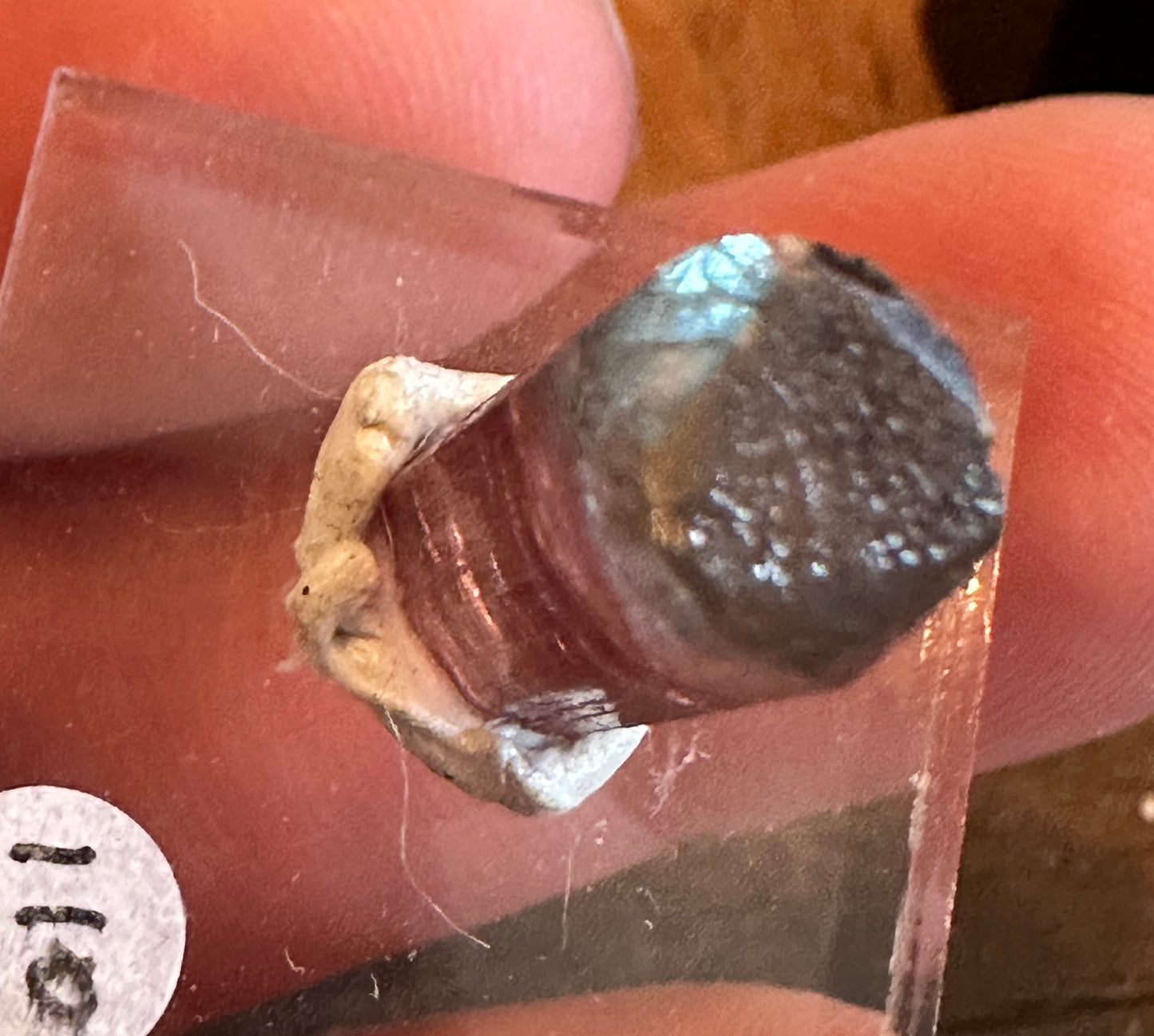 Green & Pink Tourmaline