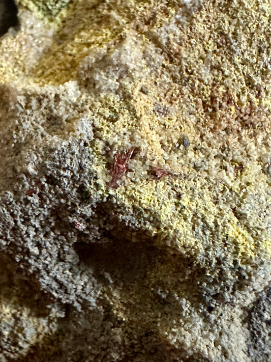 Metahewetite & Carnotite