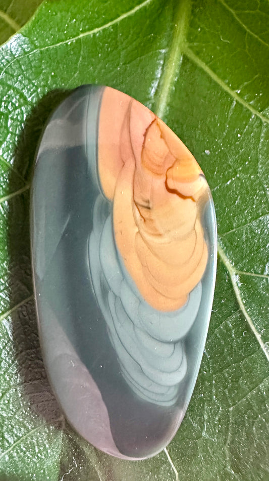 Blue Mountain Jasper