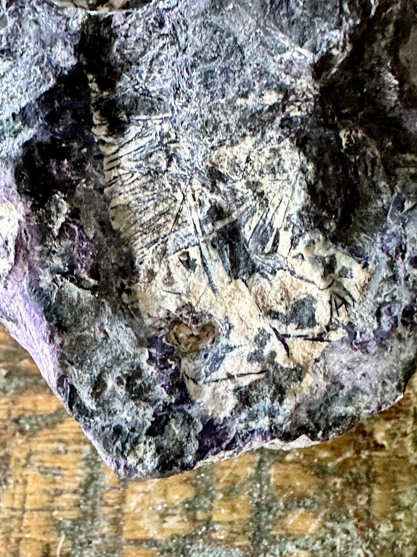 Bertrandite Crystals in Nodule