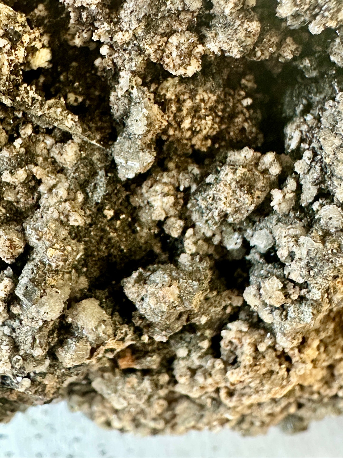 Magnetite after Garnet