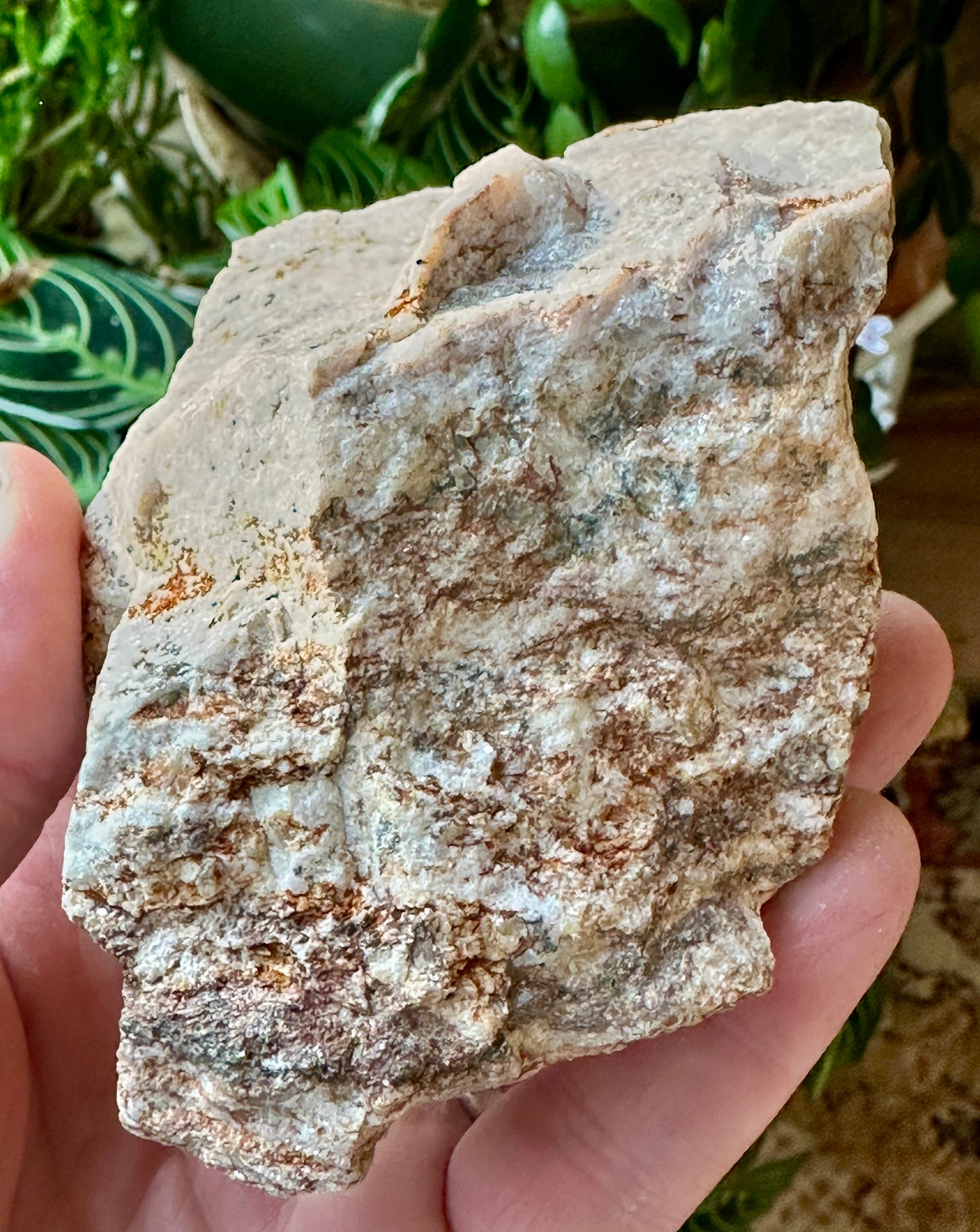 Scheelite from an ancient gold mine.