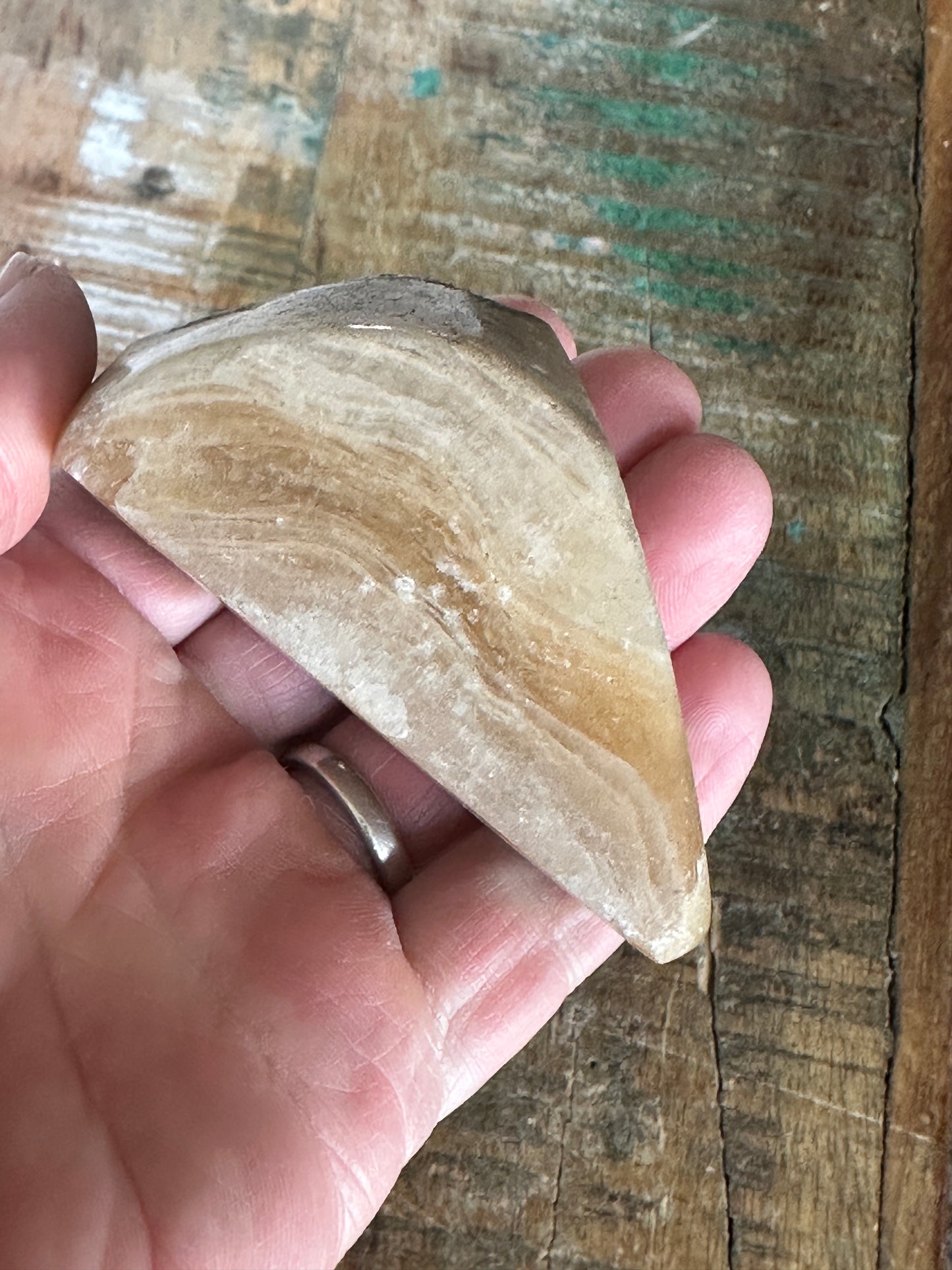 Cave Onyx