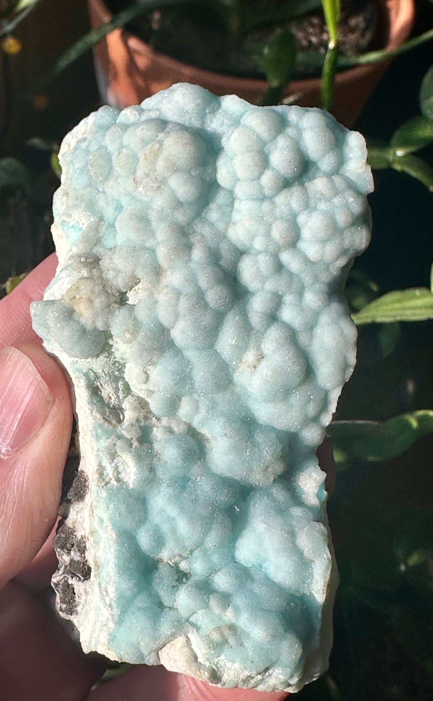 Kelly Smithsonite