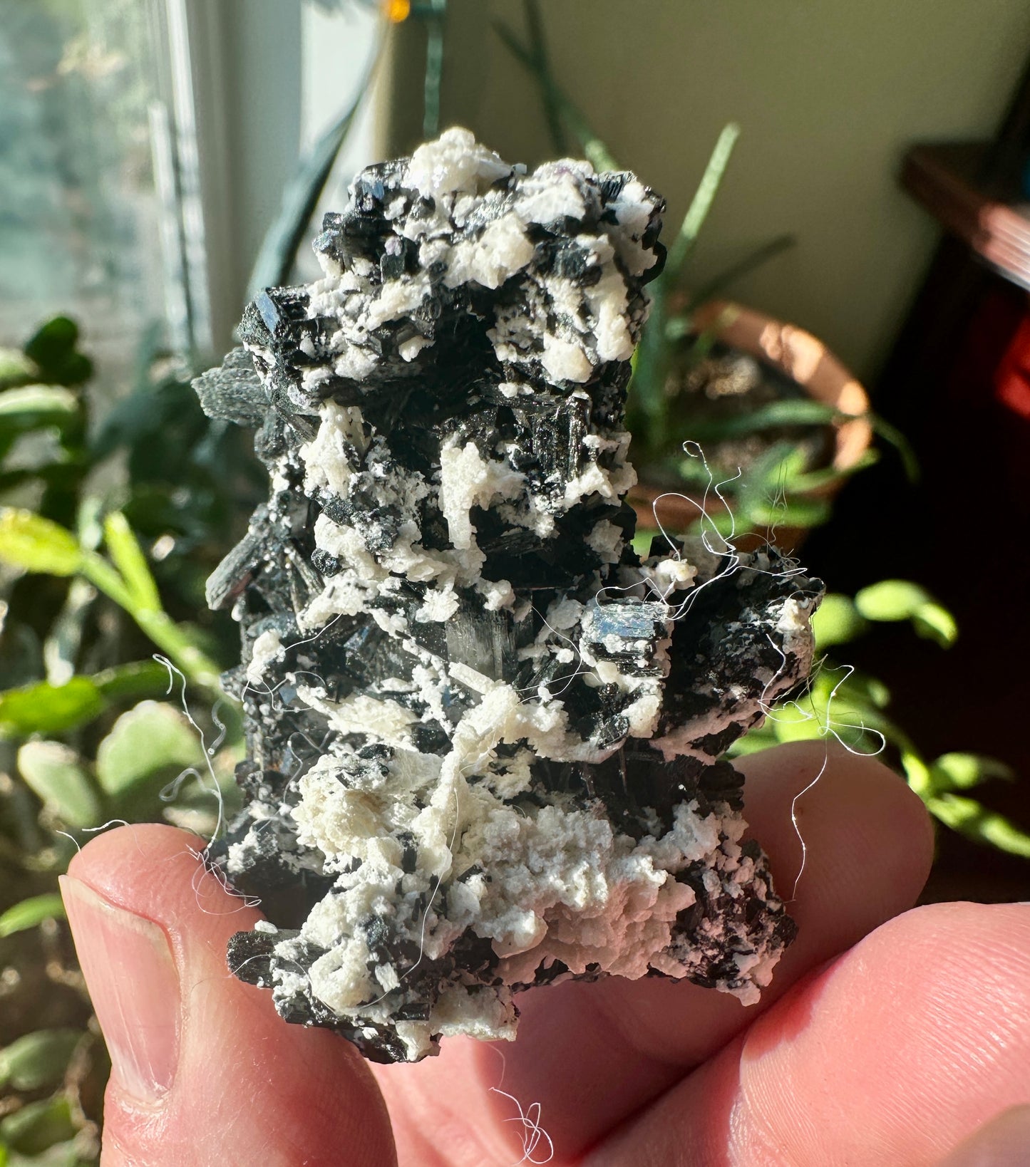 Schorl Tourmaline w/ Albite