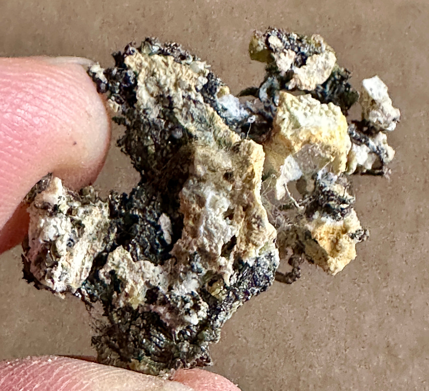 Native Silver
