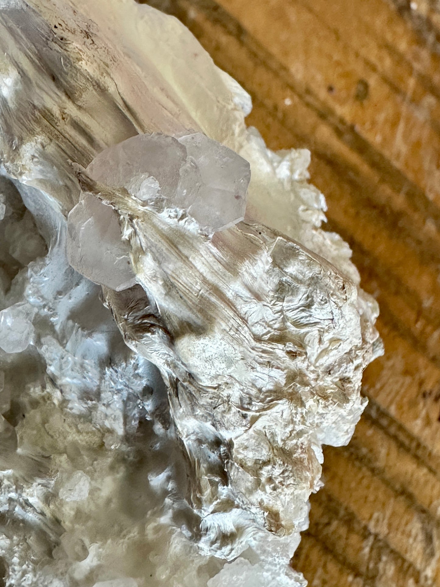Palygorskite & Calcite