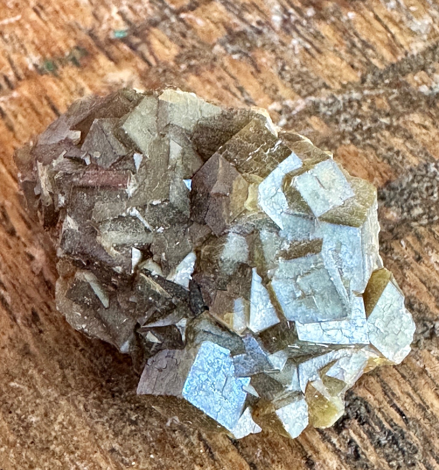 Garnet var: Andradite