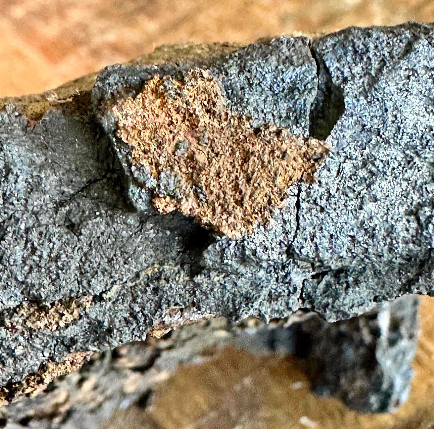 Roast Copper