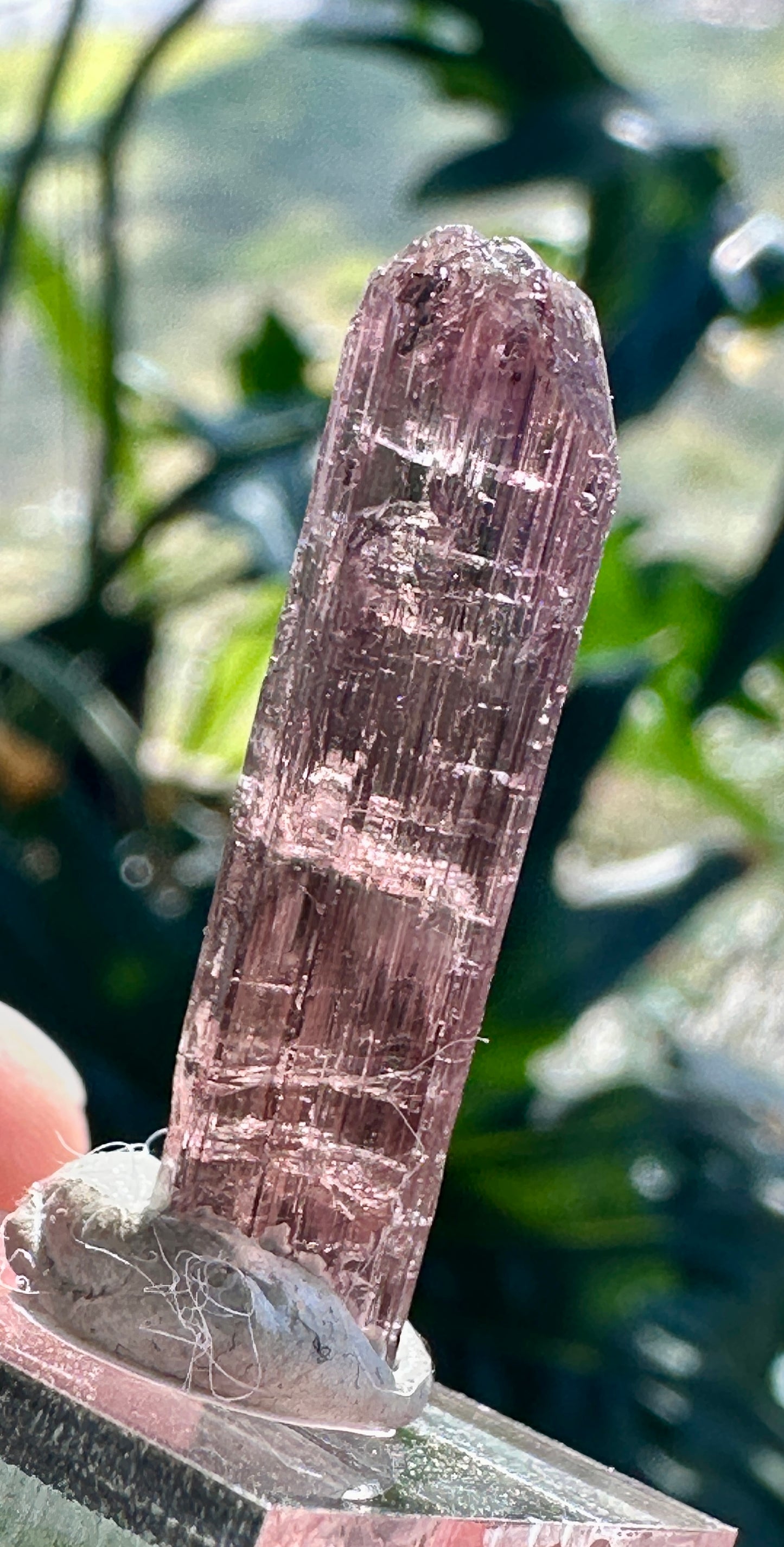 Tourmaline crystal