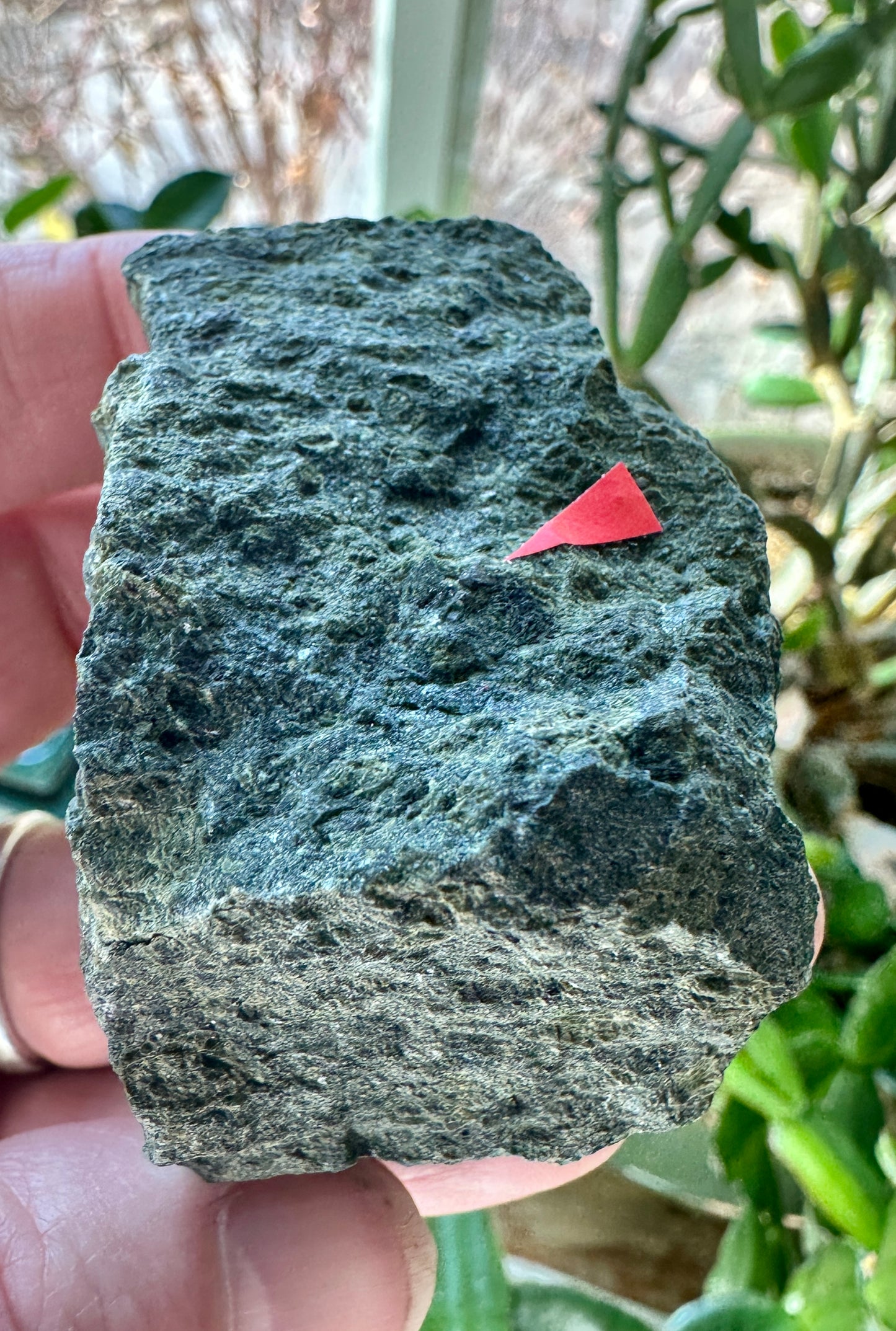 Diamond in Kimberlite