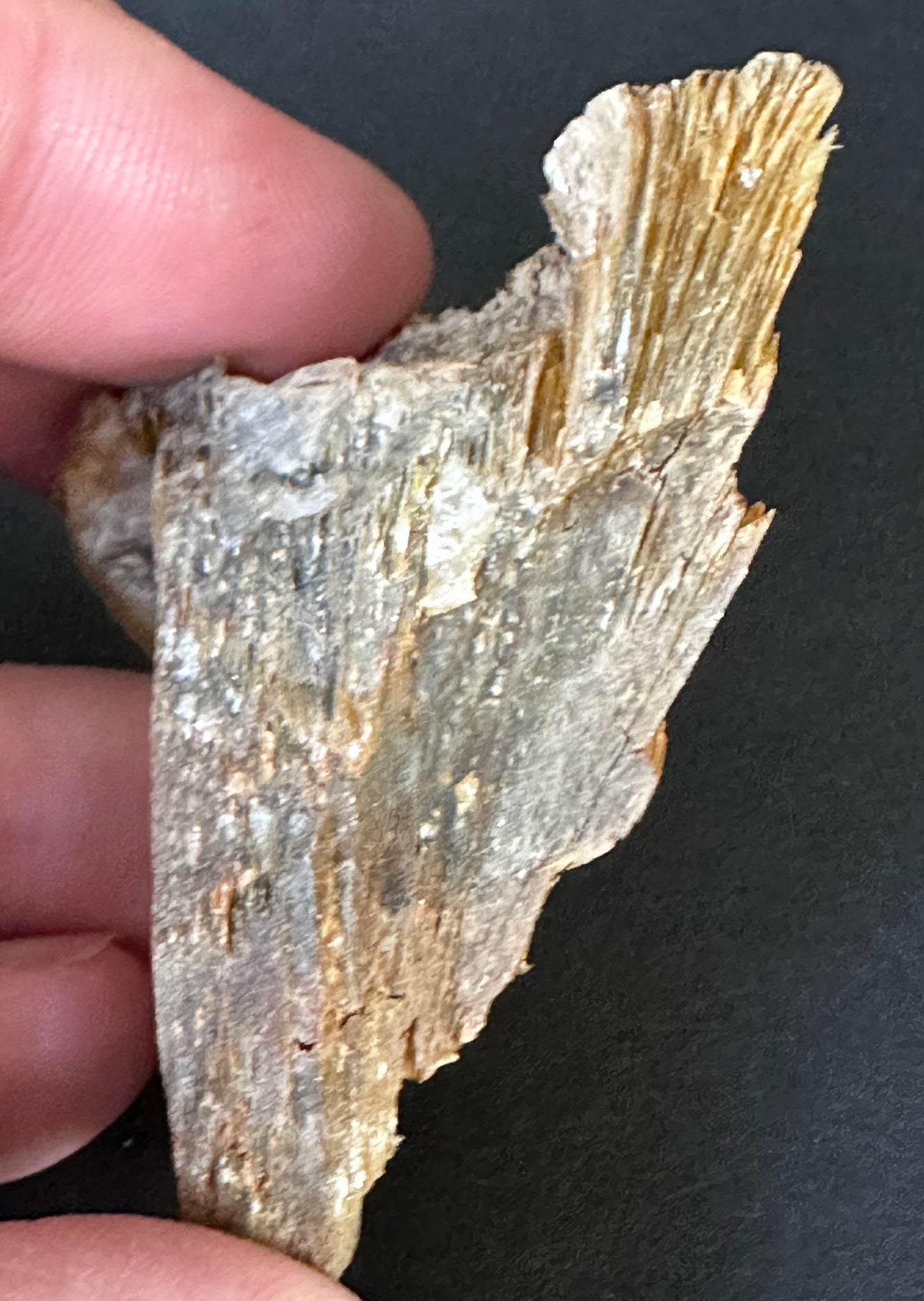 Golden Muscovite Mica Book