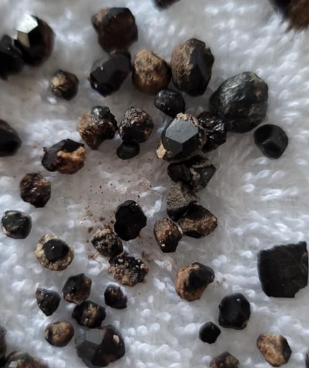 Free Garnet Collecting Trip - Ely, Nevada - September 7th
