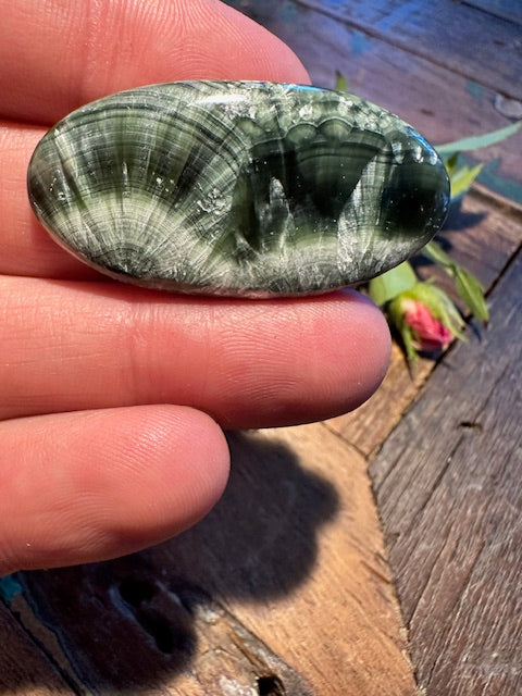 Seraphinite Cabochon