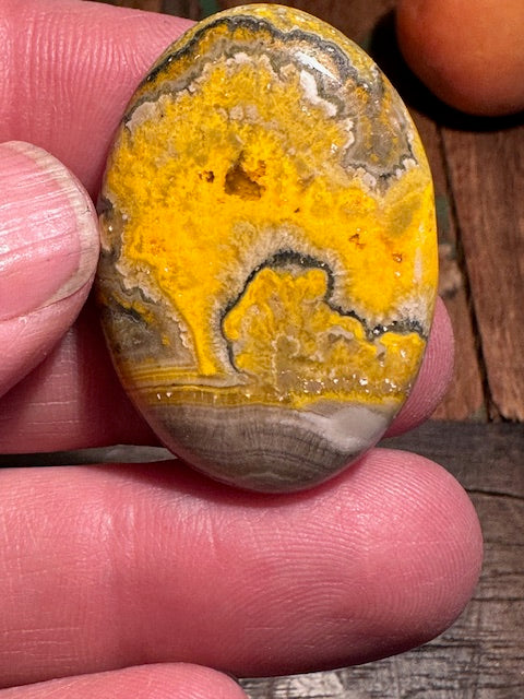Bumblebee Cabochon
