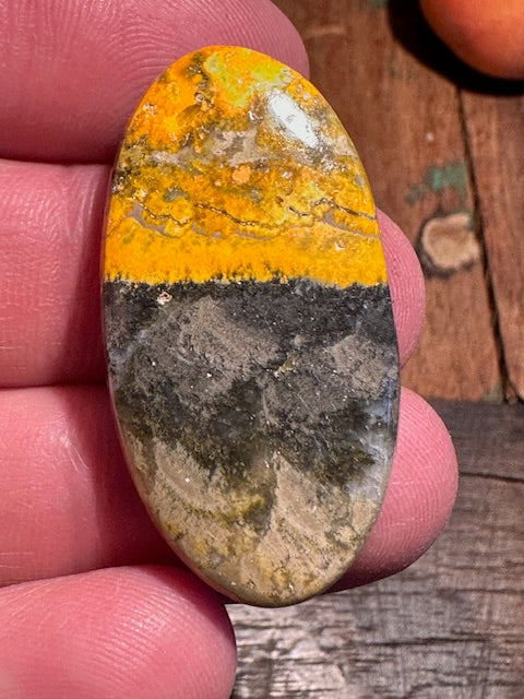 Bumblebee Cabochon