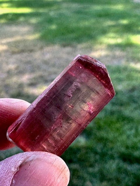 Reverse Watermelon Tourmaline