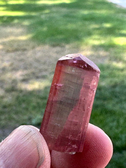 Reverse Watermelon Tourmaline