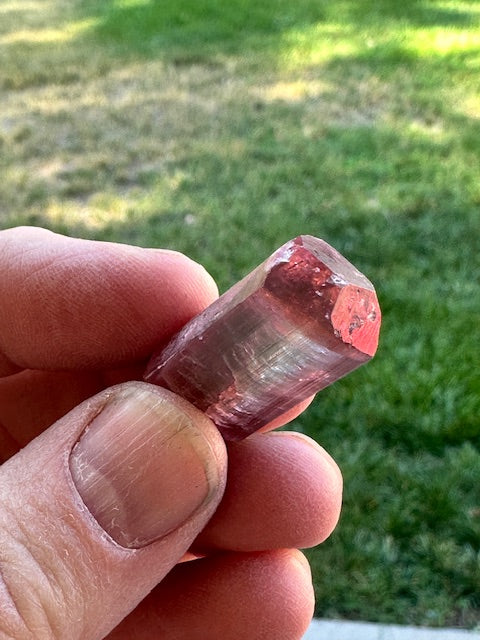 Reverse Watermelon Tourmaline