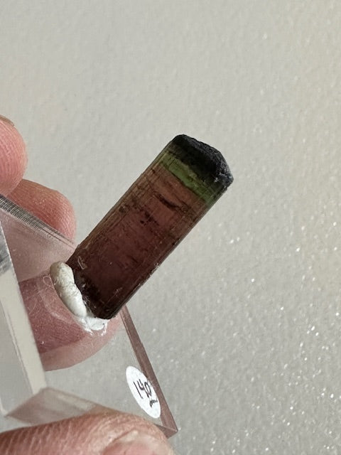 Multi-Colored Tourmaline