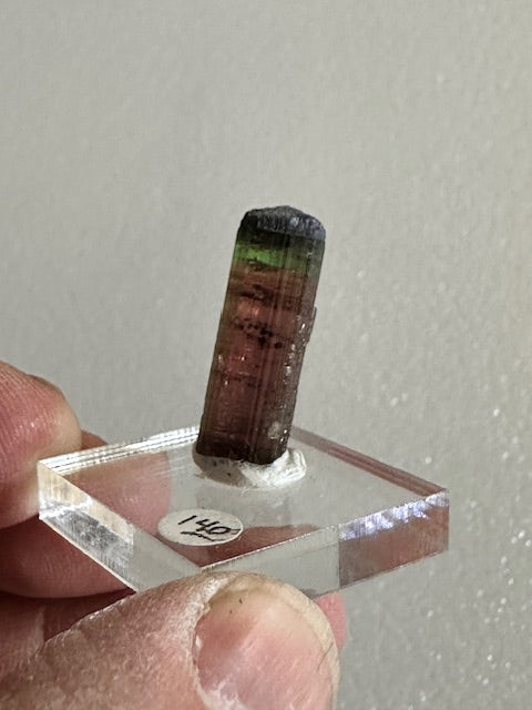 Multi-Colored Tourmaline