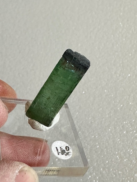 Green Tourmaline