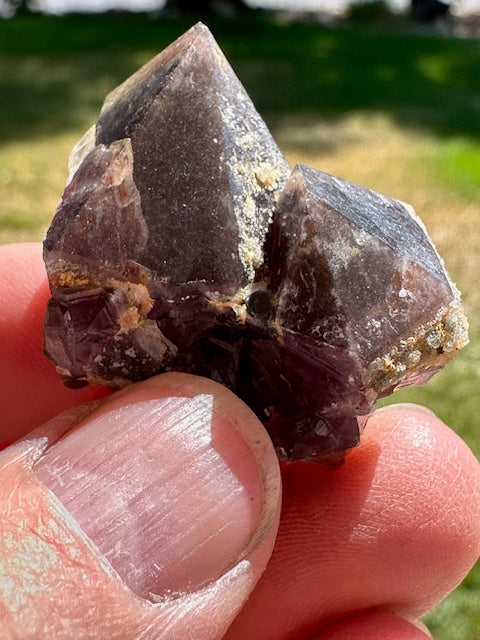 Amethyst from the Hummingbird Mine, Colorado