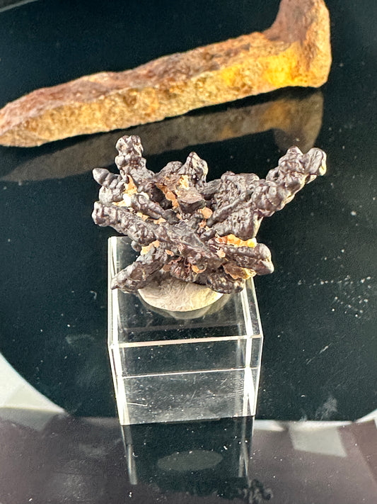 Hematite after Marcasite (aka Prophecy Stone)