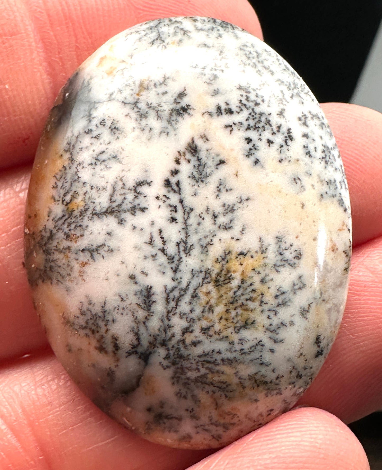 Dendritic Agate