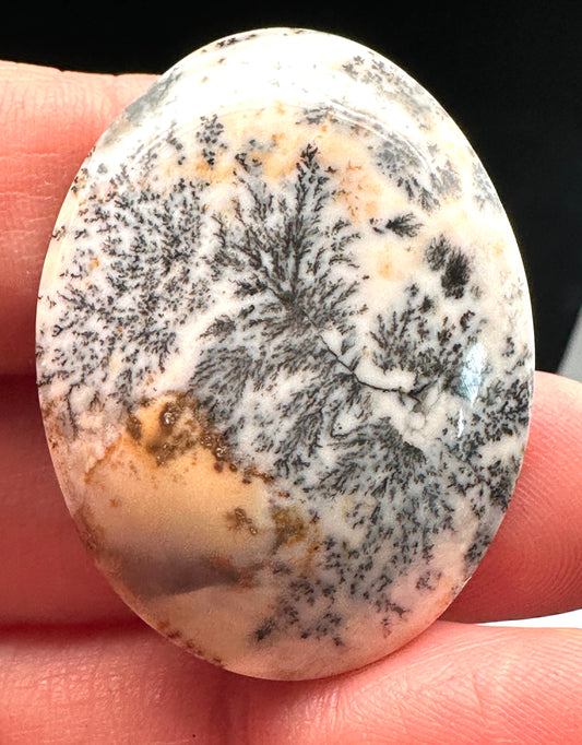 Dendrites in Chalcedony