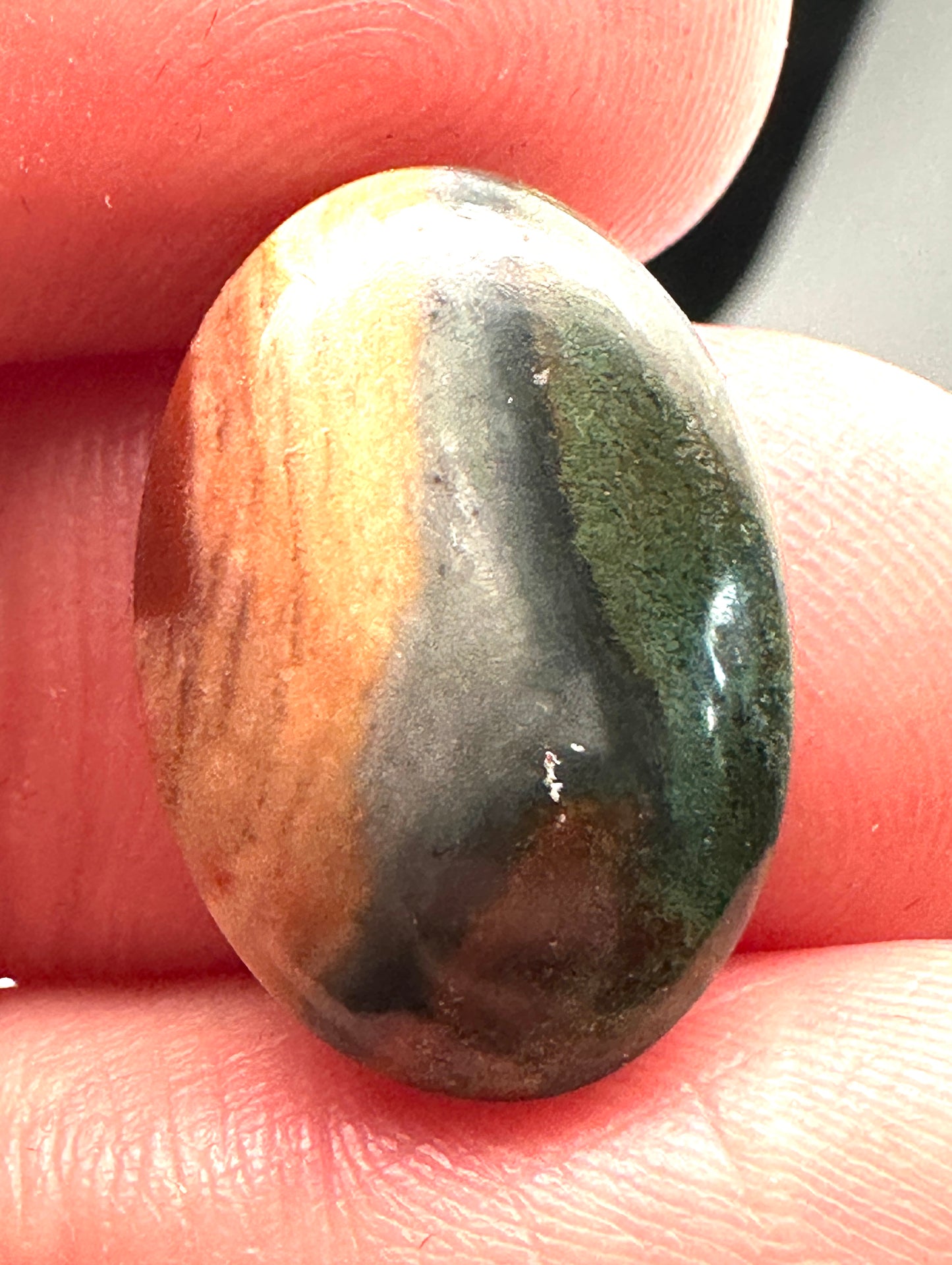Petrified Wood