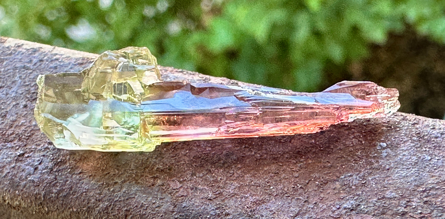 Tourmaline Scepter
