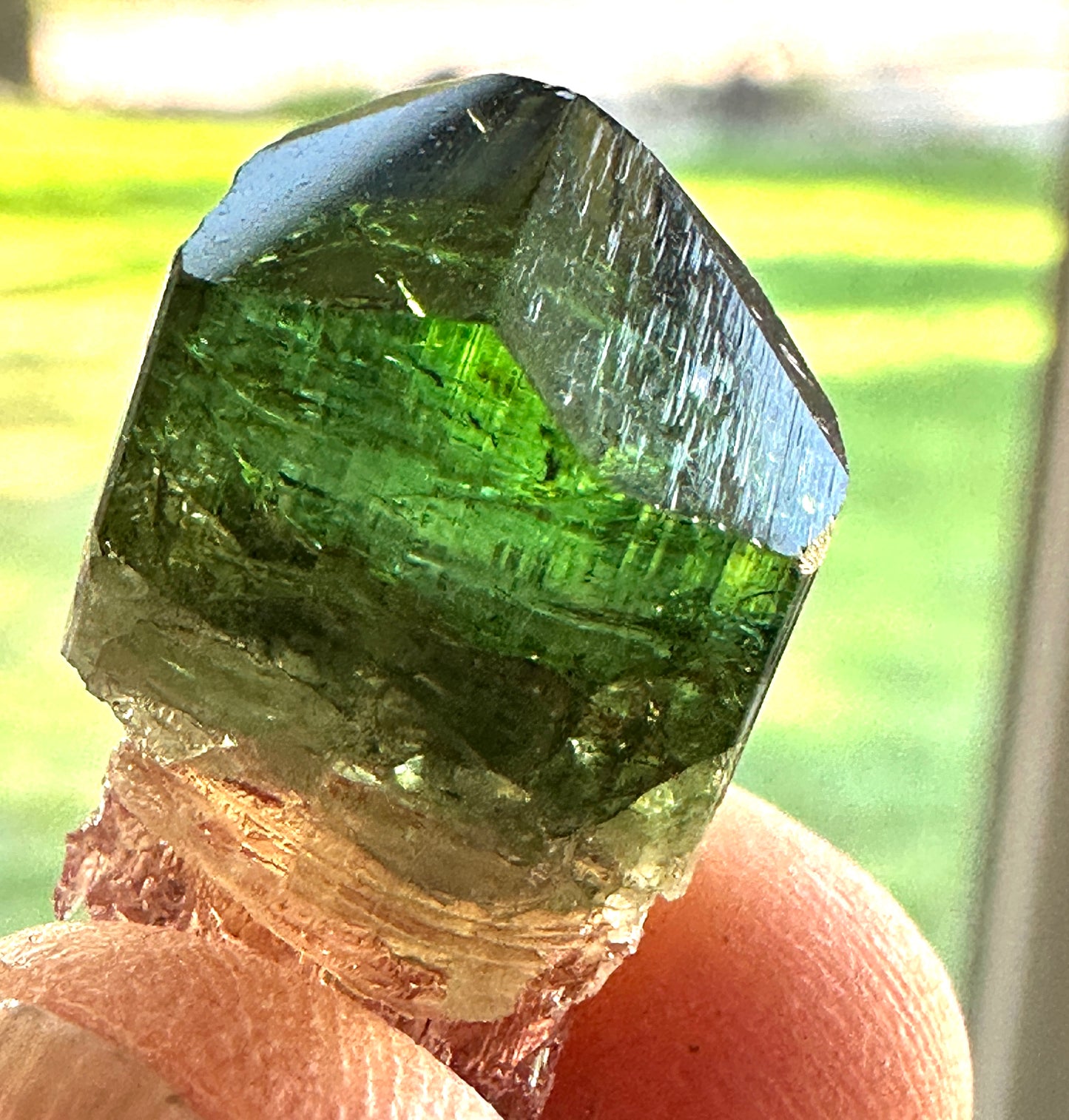 Tourmaline Scepter