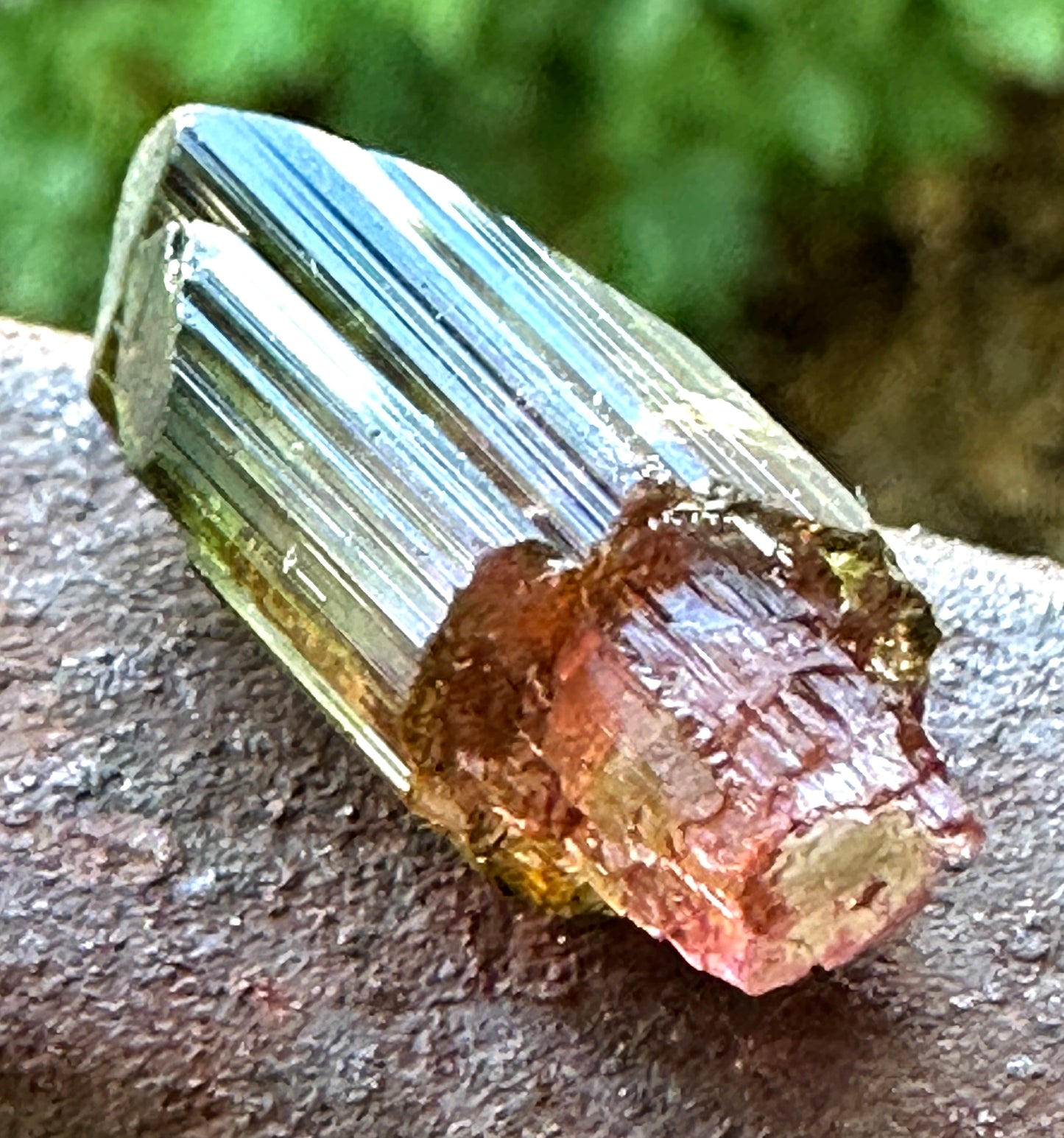 Tourmaline Scepter