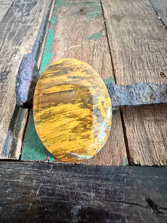 Petrified Wood cabochon