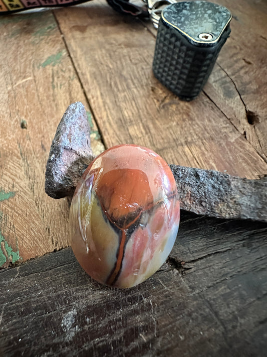 Petrified Wood "scarab" cabochon