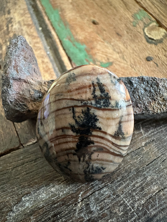 Petrified Wood Cabochon with dendrites