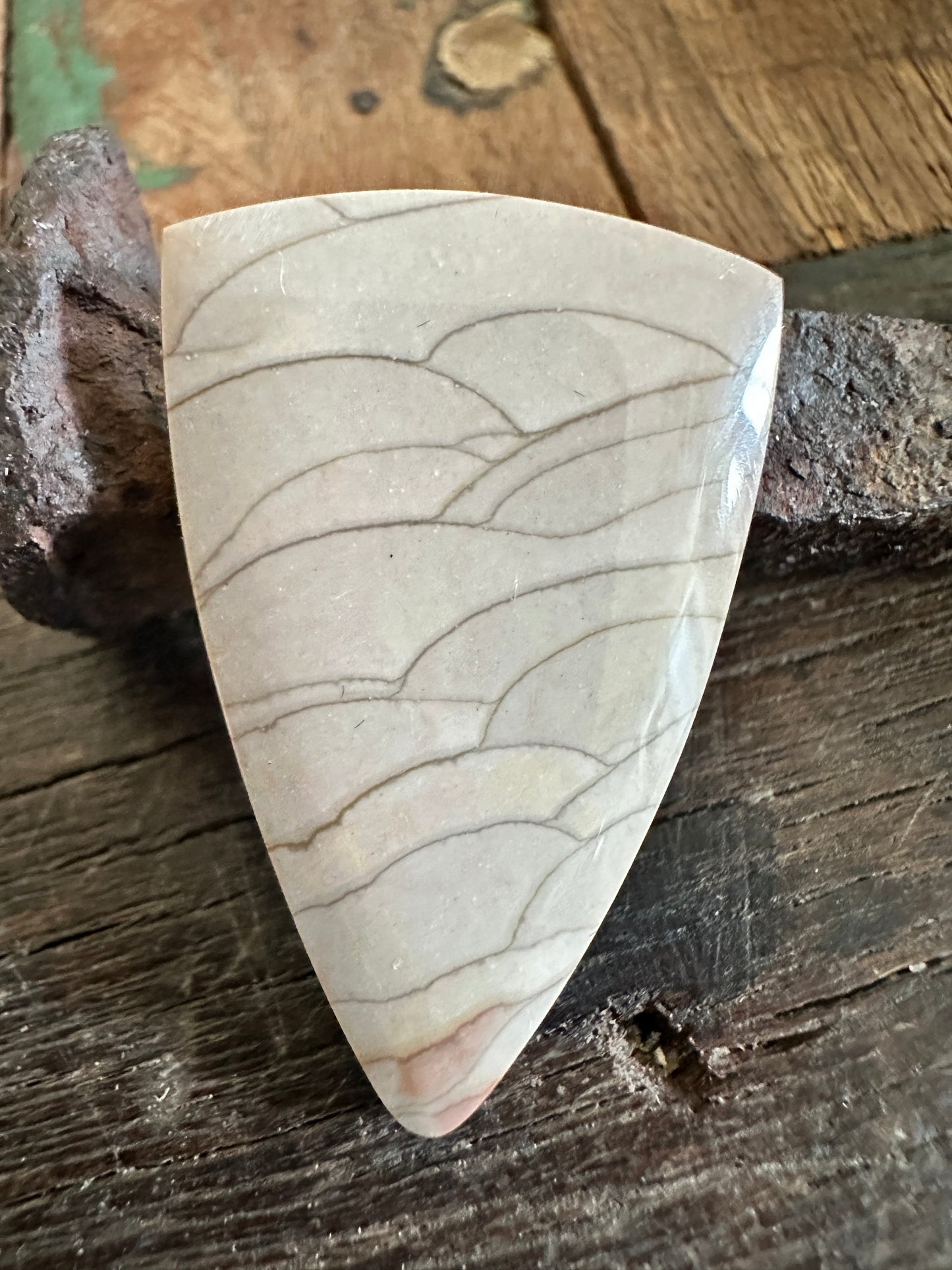 Deschutes Jasper cabochon